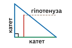 Що таке катет та гіпотенуза: просте пояснення з прикладами