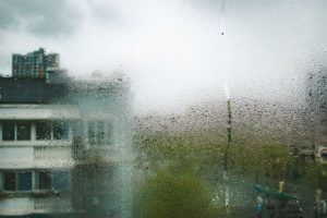 Квартира з північним вікном: освітлення, вологість, температура