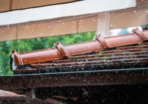 Підготовка подвір’я до осінніх дощів: дренаж і водовідведення